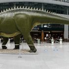 DIPLODOCUS LONGUS PANO