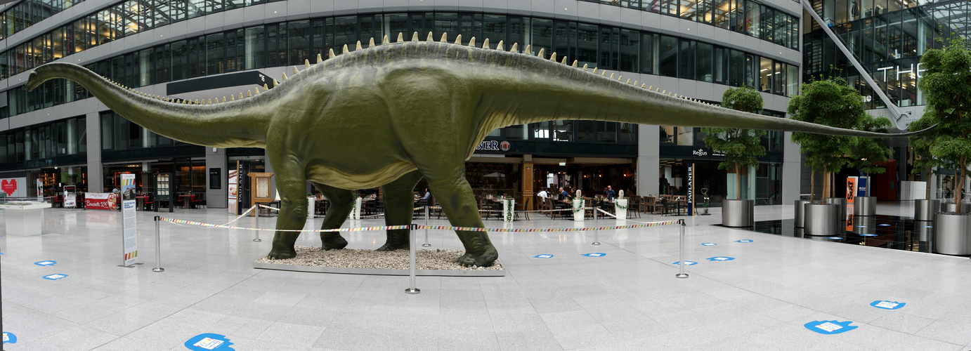 DIPLODOCUS LONGUS PANO