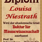 Diplom für Louisa