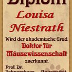 Diplom für Louisa