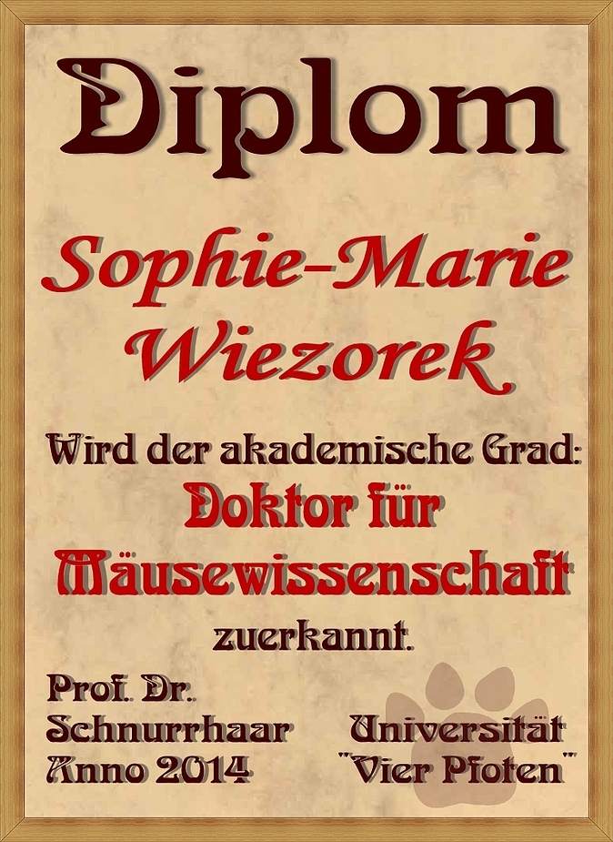 Diplom für Sophie-Marie