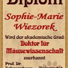 Diplom für Sophie-Marie