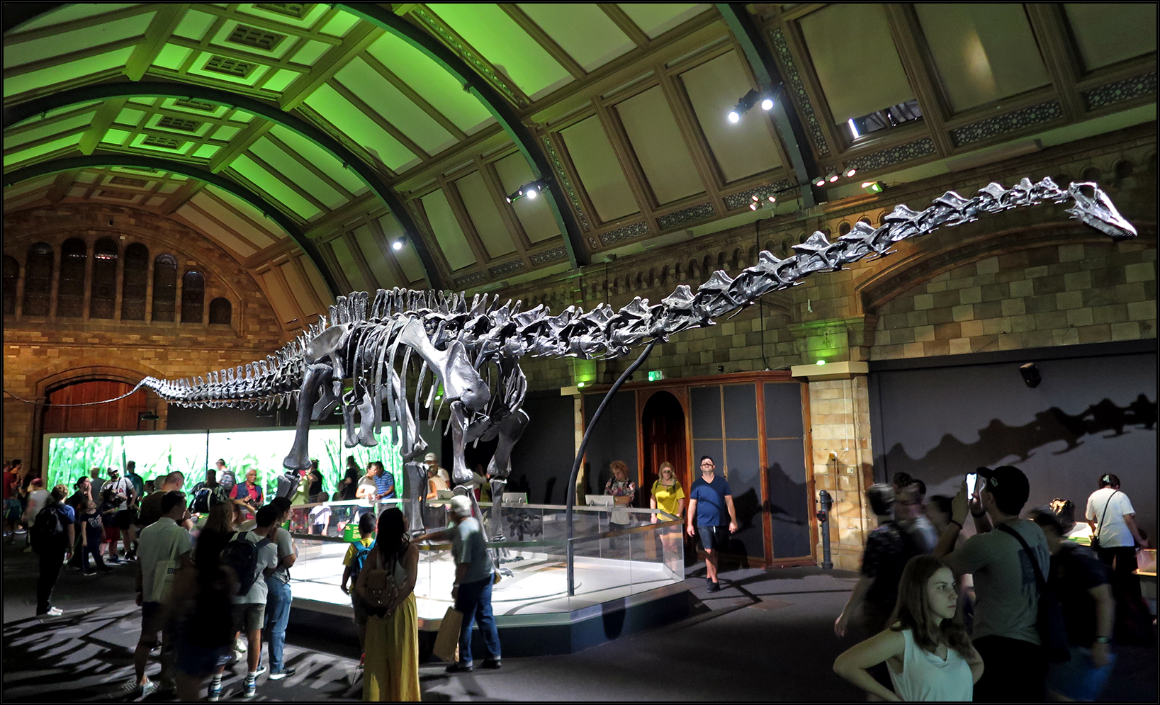 Dippy (Diplodocus) - Natural History Museum - London