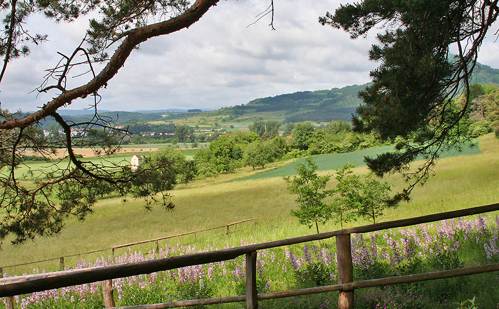 Diptambiotop in herrlicher Landschaft