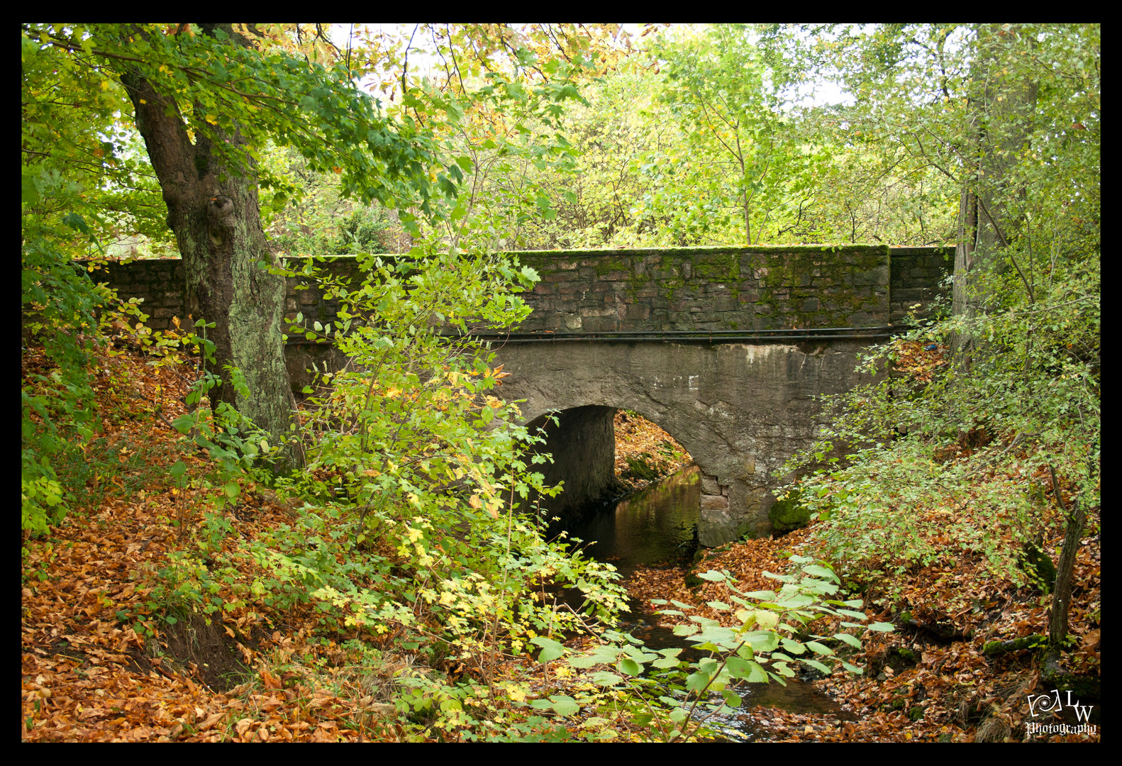 Dir Brücke