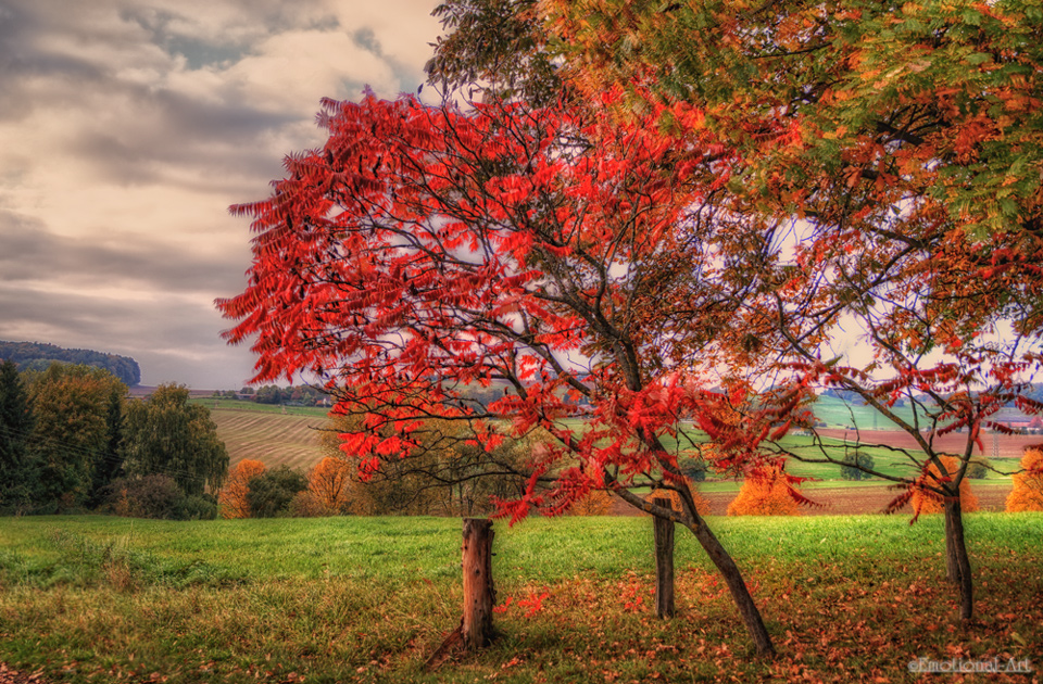 Dir Farben der Natur