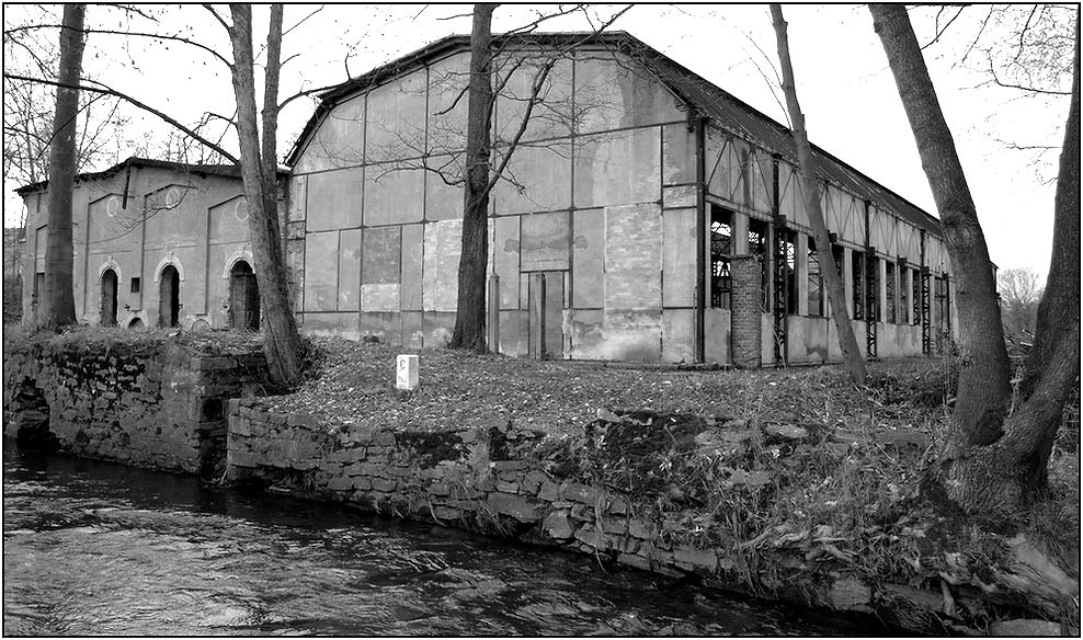 Dir Ruine der Schweinitzmühle in Brandau