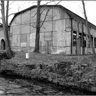 Dir Ruine der Schweinitzmühle in Brandau