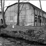 Dir Ruine der Schweinitzmühle in Brandau