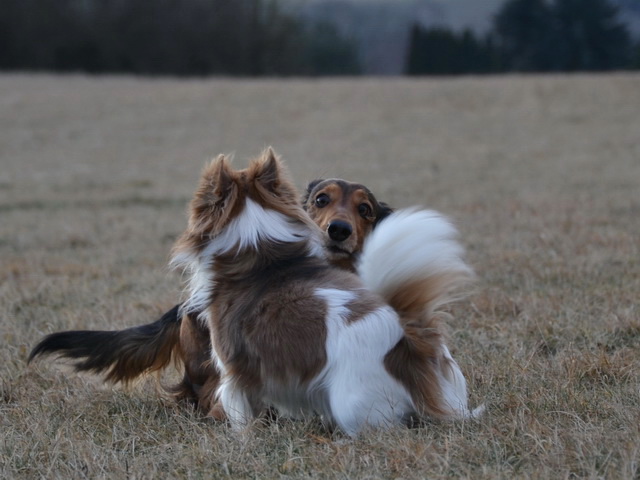 Dira und Danilo, zwei Seelen