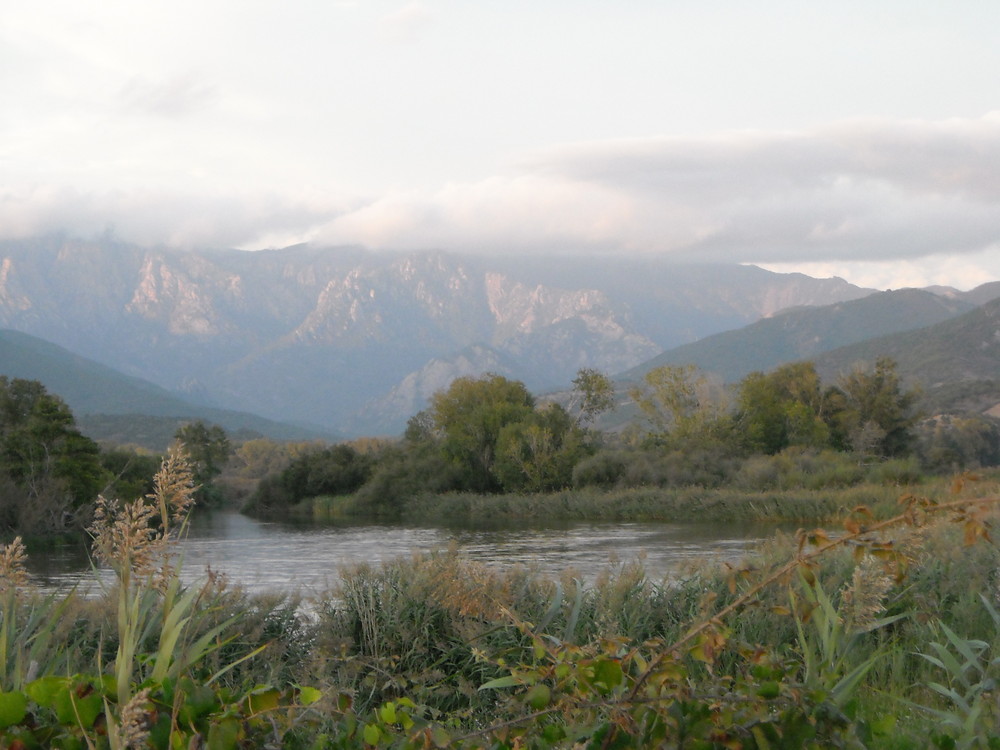 direction Cargèse