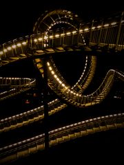 DIRECTIONS (Tiger & Turtle)