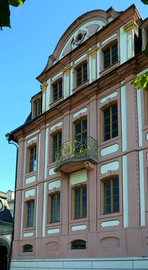 direkt am Rhein