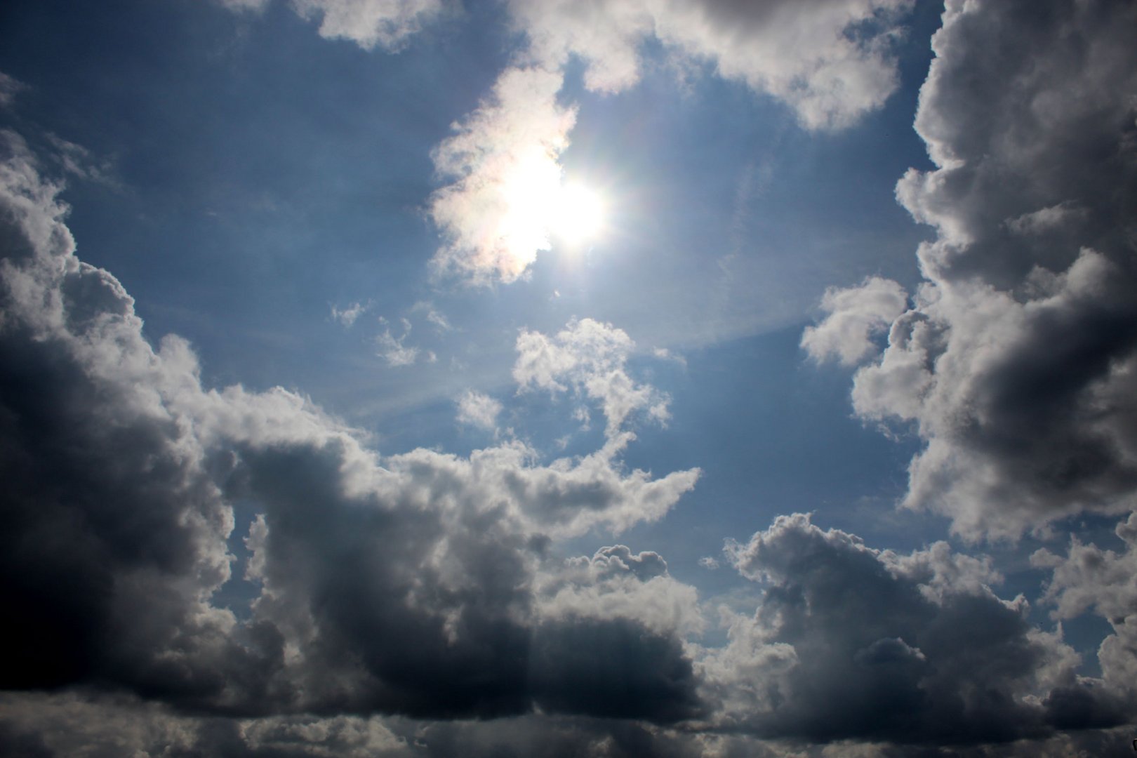 direkt gegen die Sonne