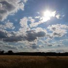 direkt gegen die untergehende Sonne