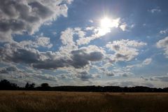 direkt gegen die untergehende Sonne