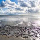 Direkt hinter dem Deich.....