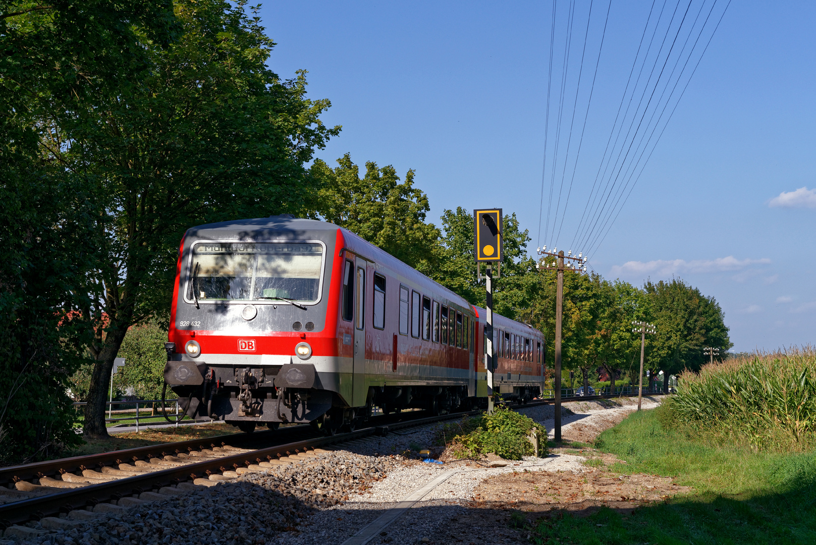 Direkt ins Licht