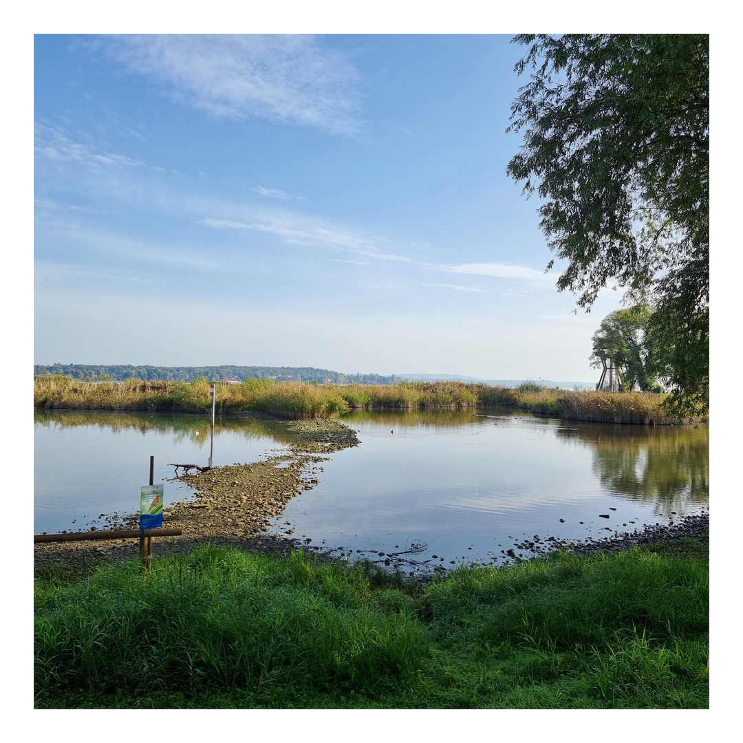 direkt neben dem Kreuzlinger Hafen