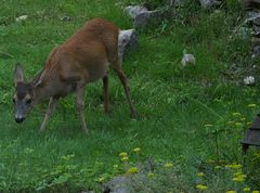 Direkt vor unserer Haustüre