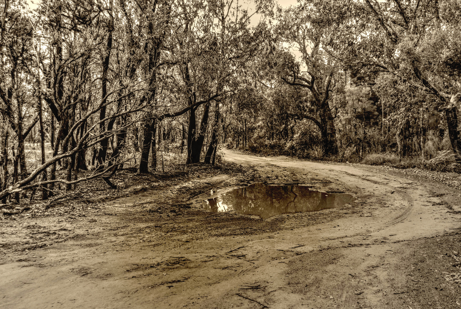  Dirt Road Pothole's