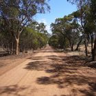 Dirt Track Australien