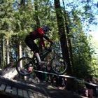 Dirtmasters 2013 - Downhill