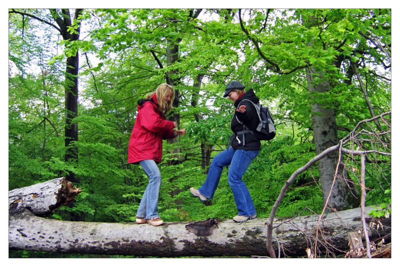 Dirty Dancing im Harz