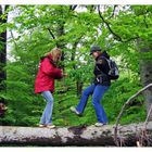 Dirty Dancing im Harz