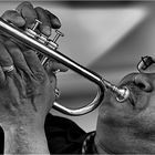 Dirty Dozen Brass Band 2 - Swinging Hannover