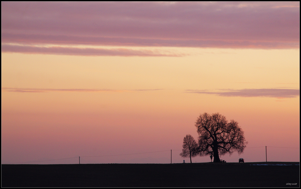 dirty pink sky