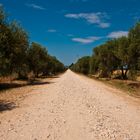 Dirty Road Toskana