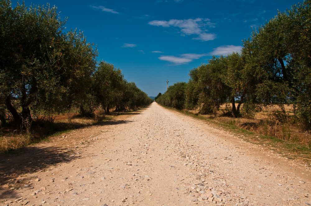 Dirty Road Toskana