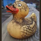 DirtyDuck