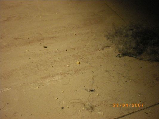 "Dis maman, c'est vrai que quand on meurt, on devient de la poussière..?"