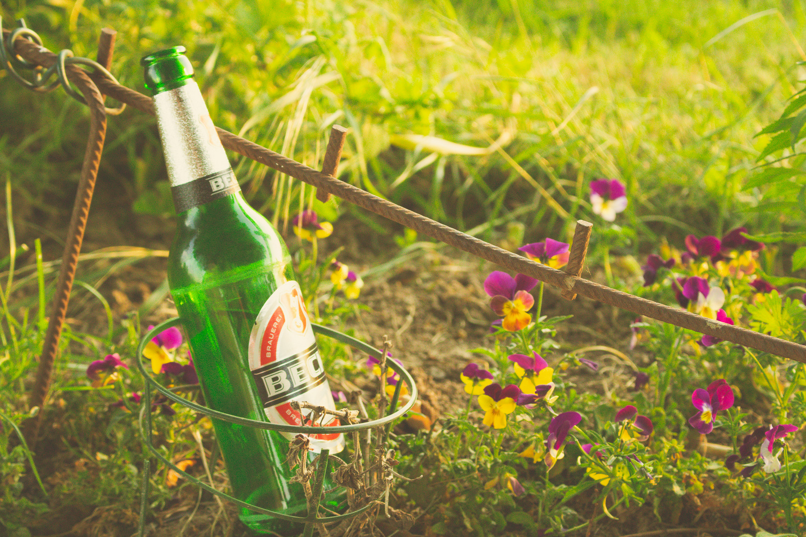 Discarded Beer Bootle