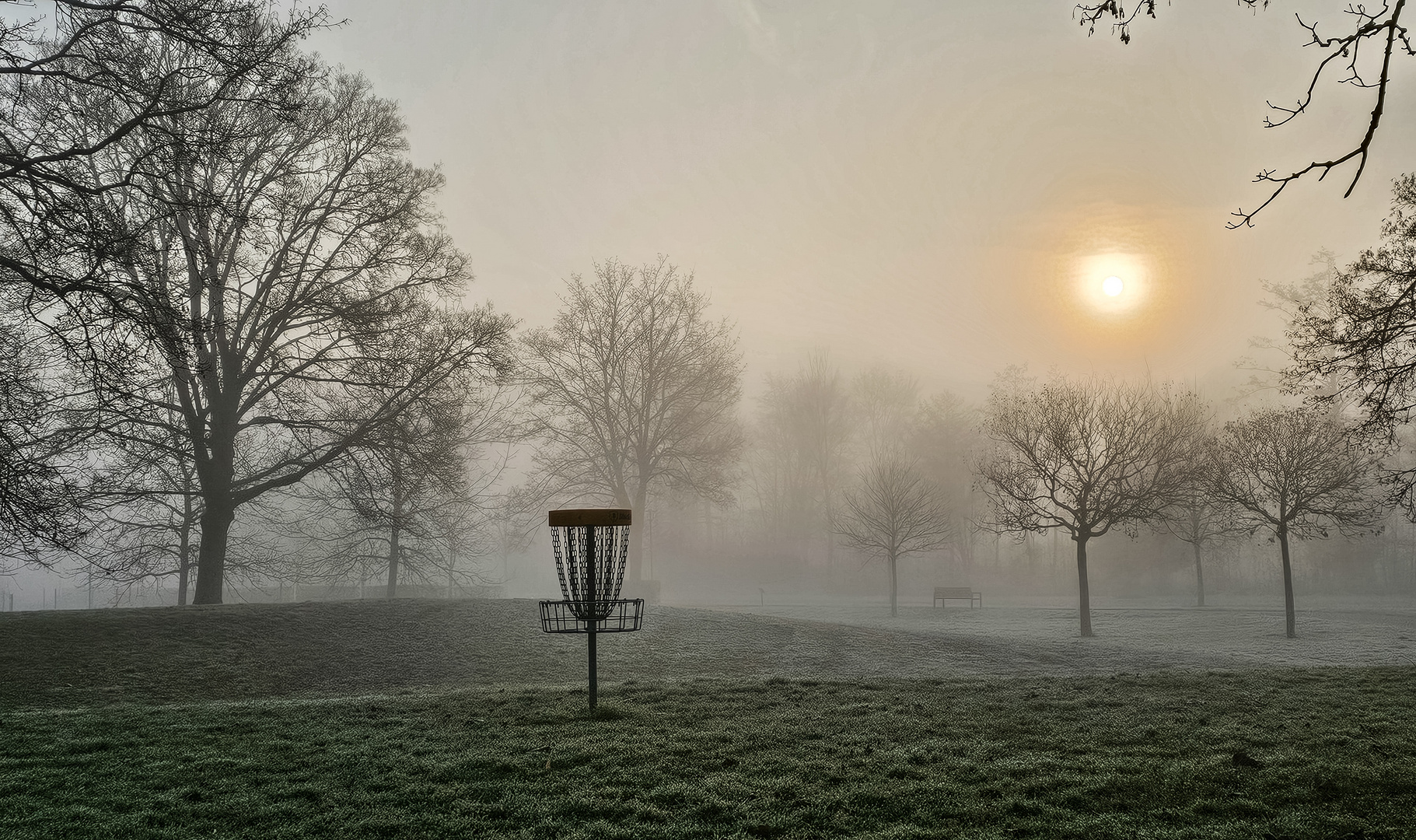 Discgolf im Nebel