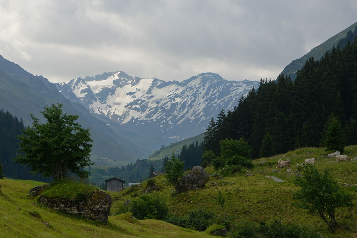 Dischmatal bei Davos