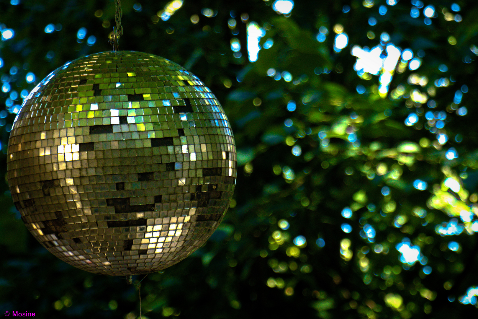 Disco im Grünen