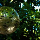 Disco im Grünen