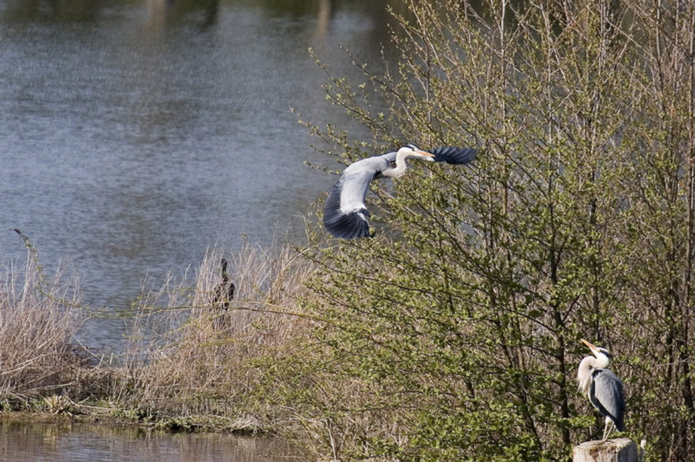 Discussion au bord de l'eau