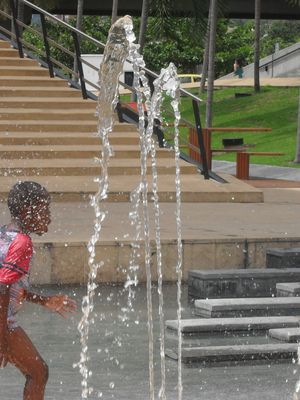 Disfrutando lo simple