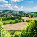 Disibodenberg-Blick auf Odernheim 30