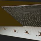 Disk in spider web - ‘6‘