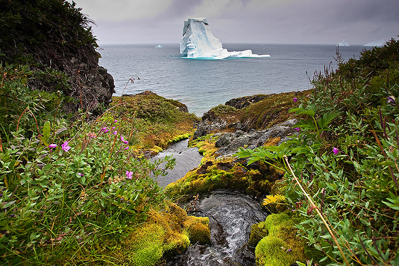 Disko Island