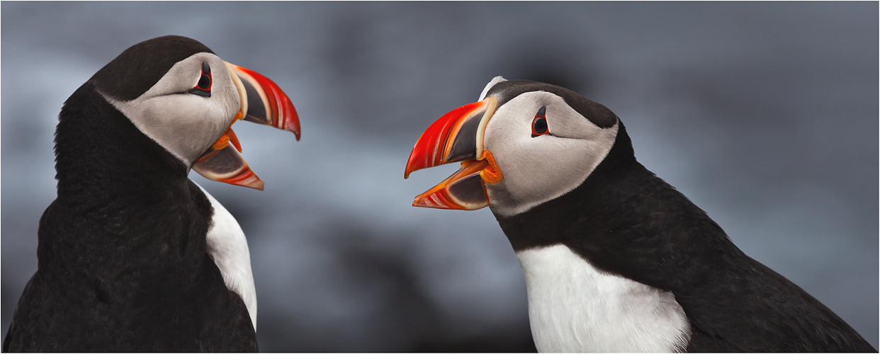 Diskussion Foto & Bild | europe, scandinavia, iceland ...
