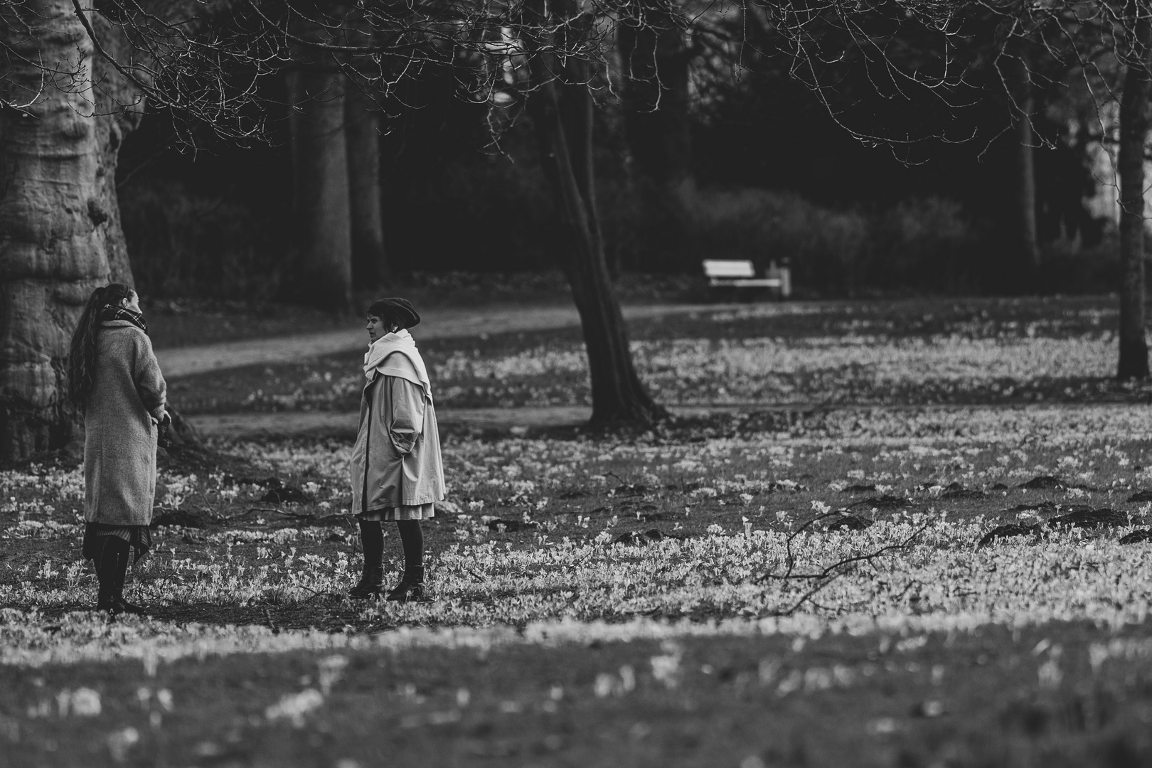 Diskussion im Park