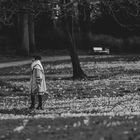 Diskussion im Park