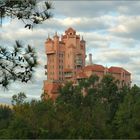 Disney castle