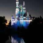 Disney Castle by night